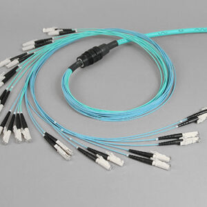 Kabelaufteiler, 12 x E2000PC, 50/125µm OM3, H&S
