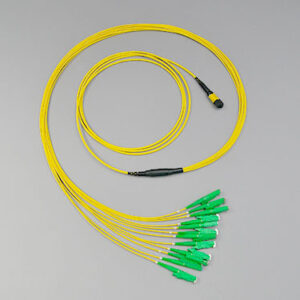 Fanout, MTP®/MPO APC male-12xE2000APC, 9/125µm, 2.0m