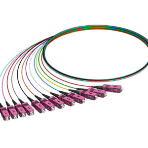 Pigtail-Set 12 x SCPC, 50/125µm OM4, 2.0m